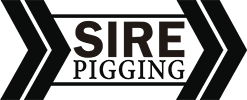 Sire Soluciones Integrales Pigging Logo
